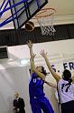 Basket 242010